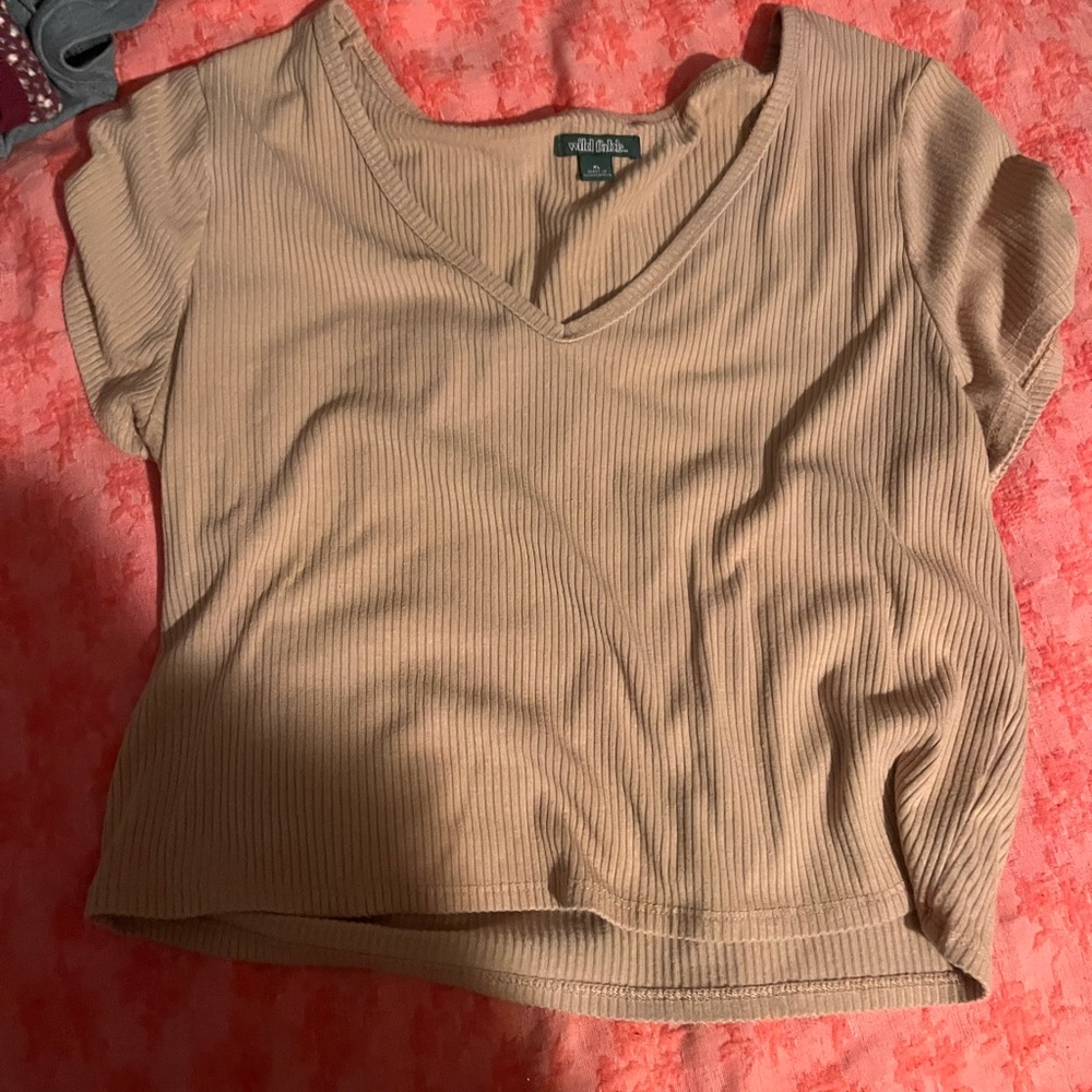 Wild Fable Tan Ribbed Crop T-Shirt